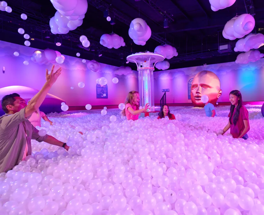 Celebrate your birthday at Bubble Planet Los Angeles